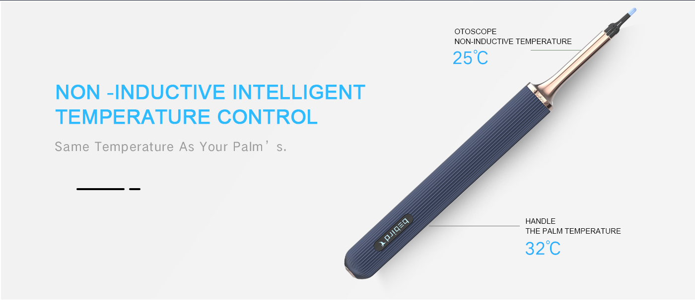 黑蜂智造bebird Note3（英文版）